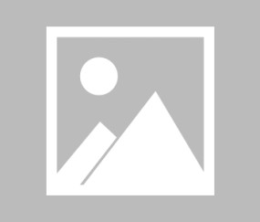 平台特色解析中milan米兰的表现详解